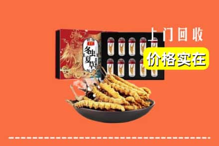 珠海市金湾回收冬虫夏草